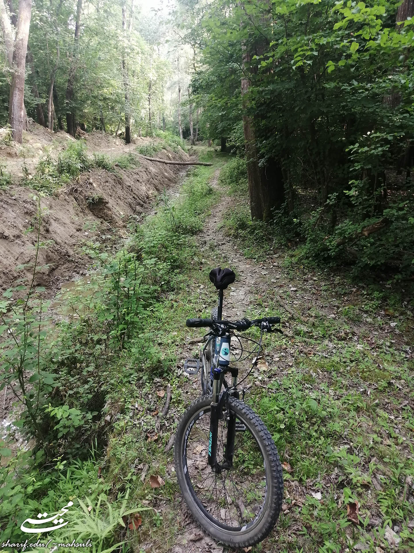 Biking in Northern Iran